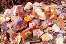 真实秦岭矿山脚下捡玉石，满山遍地都是，料子质地还挺冰透