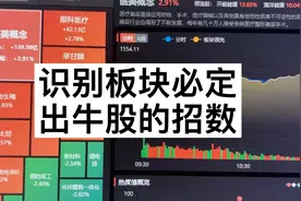 新手打板第一步，识别资金流入有效的板块，抓住真实市场热点！视频封面