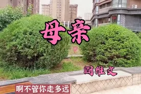 阎维文深情演唱《母亲》，歌词句句深入人心，感恩天下母爱恩情…视频封面