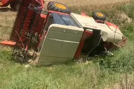 河南的麦子已经成熟且大面积收割，发个视频给回不来的老乡看看！视频封面