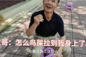 鸟屎拉到三哥衣服上，红姐说：是霉运，要搞两个红鸡蛋冲冲喜。视频封面
