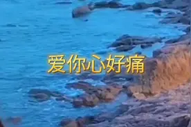 爱你好痛视频封面