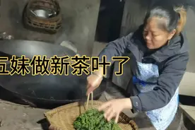 五妹分享摘茶揉茶的传统方法，一起去看看这样做的茶叶泡茶好喝吗
