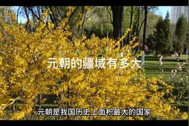 元朝的疆域到底有多大？了解历史，增加认知思维。