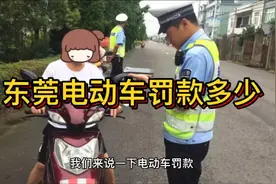 东莞电动车罚款标准 快来看看学知识视频封面