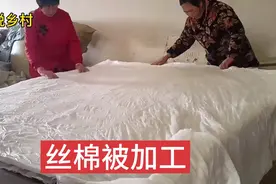 丝棉被一拉一翻几分钟一床，一年能挣20万，全乡一半人都在干视频封面