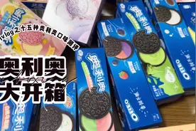 十五种奥利奥口味大测评｜沉浸式吃奥利奥，实现饼干自由视频封面