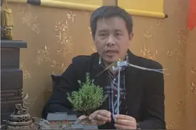 家门口有电线杆怎么化解（各方位影响+化解方法）视频封面