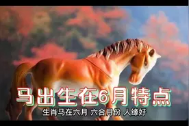 生肖马出生在6月特点