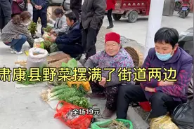 在甘肃陇南康县，农民整个春天的收入，全靠山里挖的野菜视频封面