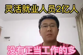 目前国内灵活就业人员达2亿人，说明很多人没有正当稳定的工作。