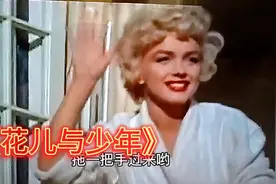 《花儿与少年》视频封面