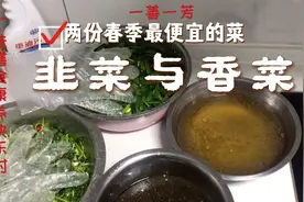 2元韭菜、5元香菜腌制的小咸菜。好吃干饭，春季必备。视频封面