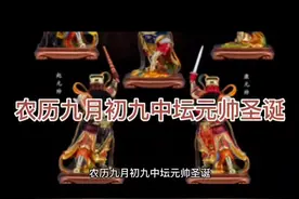 九月初九中坛元帅圣诞视频封面