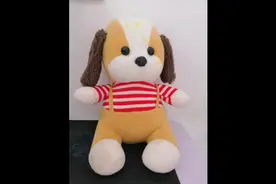 毛绒玩具写生儿童画勾线环节视频封面