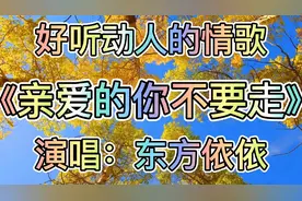 一首伤感情歌《亲爱的你不要走》好听让人心醉视频封面