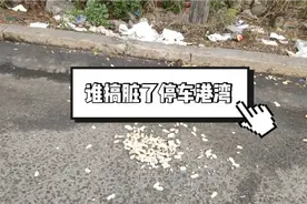 有人乱扔垃圾有人随地便溺...谁搞脏了停车港湾？视频封面