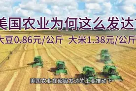 美国农业为何如此发达？大豆0.86元/公斤，大米1.38元/公斤视频封面
