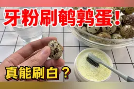 这牙粉不得了！能轻松刷掉鹌鹑蛋上的黑斑，试用一个星期会怎样？视频封面