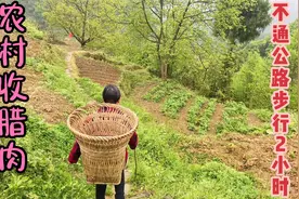 农村老人无钱看病卖腊肉、小伙冒雨步行2小时、收到一个猪脚和腿视频封面