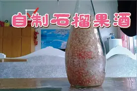 自制石榴果酒酿制方法
