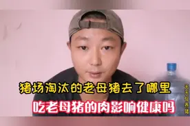 每年1000多万头的淘汰母猪，都做成这个，吃母猪肉影响健康吗？视频封面