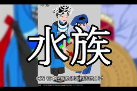 民族起源之水族视频封面
