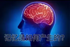 记忆是如何产生的？
