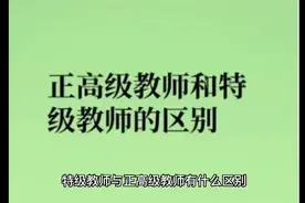 特级教师与正高级教师有什么区别，哪个更容易评上？
