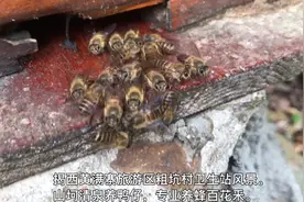 座座楼房依山建，卫生站建路上背。游山玩水。视频封面