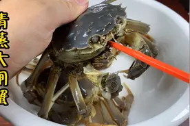 清蒸大闸蟹第一步直接蒸等于浪费，这样蒸才鲜，家常简单做法视频封面