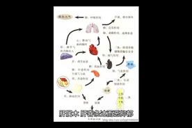 身体五脏腑的喜和恶，你看懂了吗