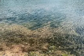 黄浦江的源头:安吉章村的南溪视频封面