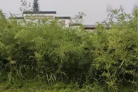 德州德百一日游，将军府多宝楼木质结构，古建筑之美古色古香。