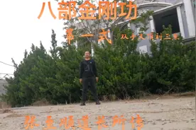 八部金刚功是张至顺道长所传，长练此功可以百病不侵视频封面