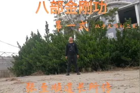 八部金刚功是张至顺道长所传，长练此功可以百病不侵视频封面