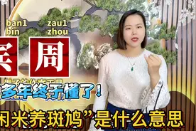 “闲米养宾州”是什么意思？广东人广西人说的俗语，寓意深远
