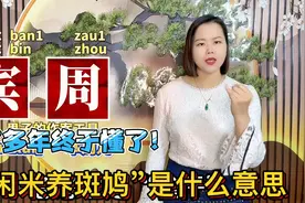 “闲米养宾州”是什么意思？广东人广西人说的俗语，寓意深远
