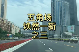 五角场邯郸路（复旦大学）-大柏树视频封面