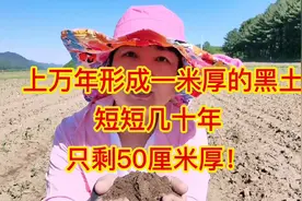 东北黑土上万年形成一米厚，为何短短几十年，只剩50厘米厚！视频封面