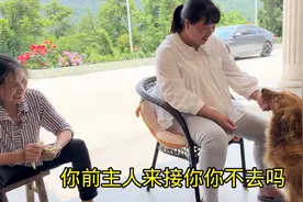 领养金毛第600天，准备把它送回前主人家，面对新旧主人它会选谁