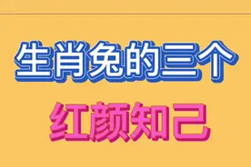 生肖兔的三个红颜知己 ，心有灵犀无话不谈，建议收藏。视频封面