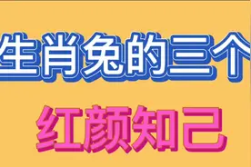 生肖兔的三个红颜知己 ，心有灵犀无话不谈，建议收藏。视频封面