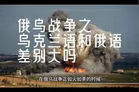 俄乌战争之乌克兰语和俄语差别大吗？视频封面
