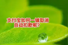 支付宝可以一键取消自动扣款，免密支付关闭的方法，不然花冤枉钱