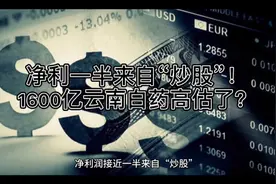 净利一半来自“炒股”！1600亿云南白药高估了？视频封面