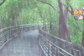 狂风暴雨两人行，困难之时见真情。丈夫撑起遮雨伞妻子觉得心理暖视频封面