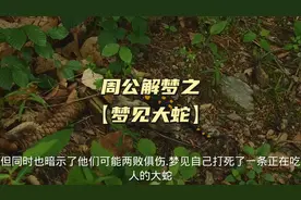 周公解梦之【梦见大蛇】