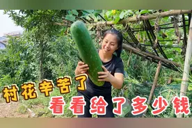 29岁宝妈远嫁到广西过得好吗？长得又笨又可爱，幸亏嫁了个好老公视频封面