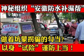 神秘组织“安徽补漏帮”，坑蒙诈骗全国乱跑，到底隐藏什么秘密视频封面